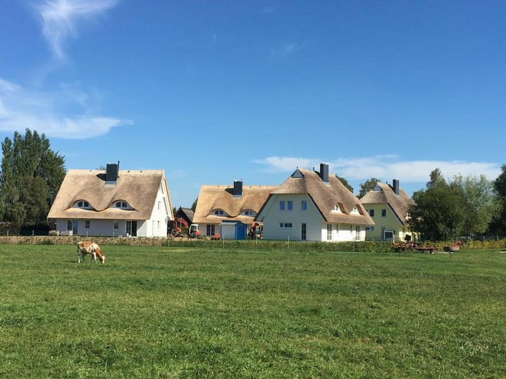 Reetdachhaeuser Boergerende Exterior photo